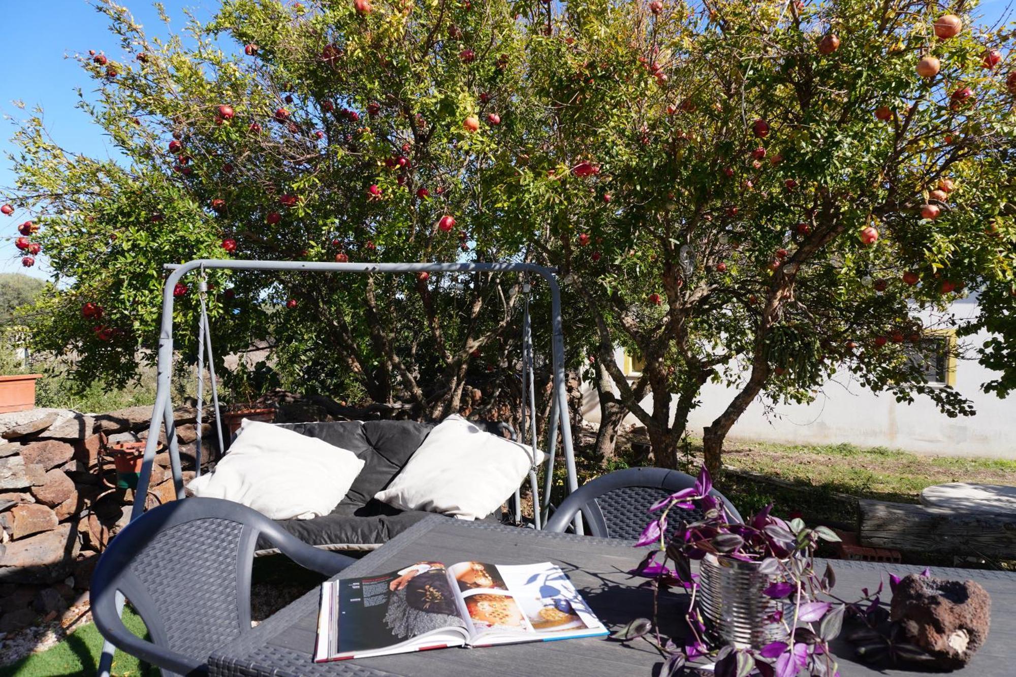 Agriturismo Paulesa Dorgali Εξωτερικό φωτογραφία